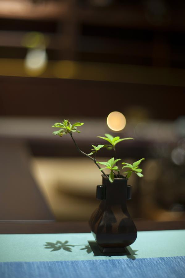 At Heart Zen Hotel Chengdu Luaran gambar